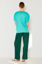 Load image into Gallery viewer, Pleated Elastic-Waist Straight Pants